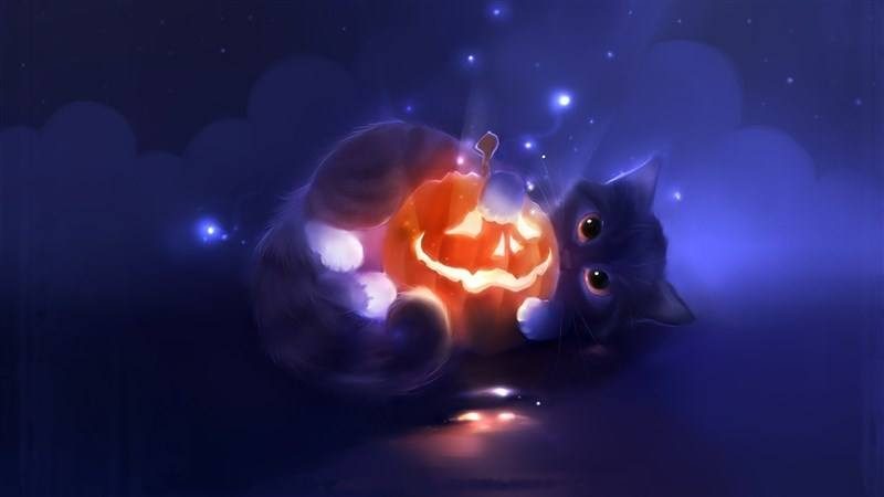 Cat Playing with Jack-O-Lantern