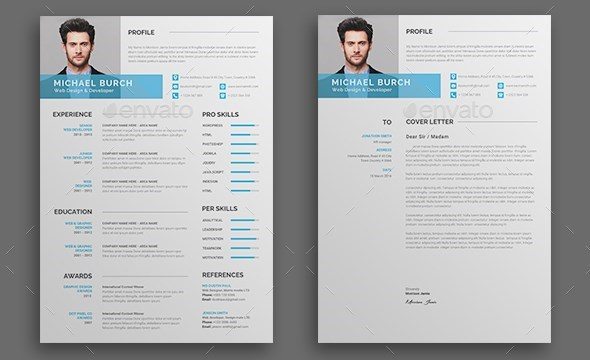 1 clean resume