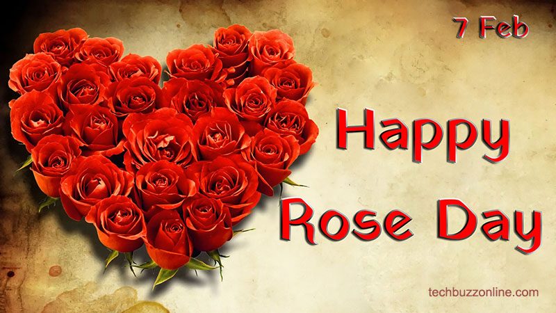 Rose Day