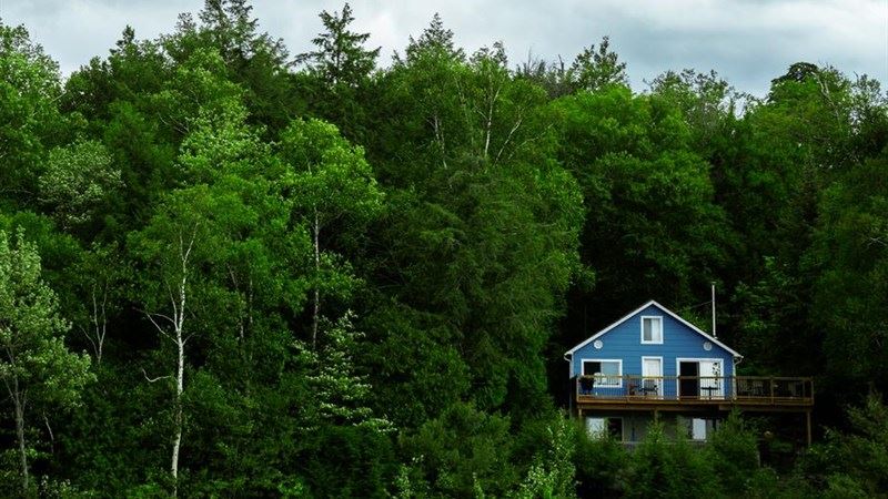 Blue Cottage in Green Forest