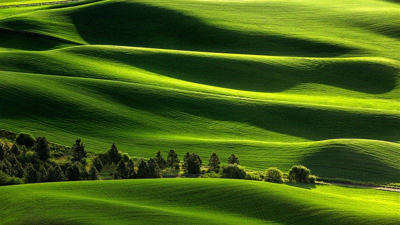 Awesome Field Landscape Background