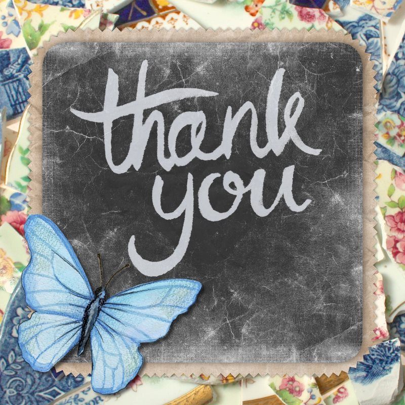 21 thank you greeting card butterfly