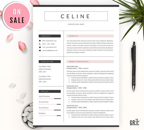 23 professional resume cv template