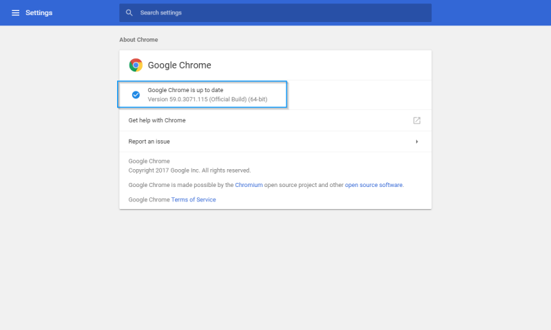 Chrome Version Settings