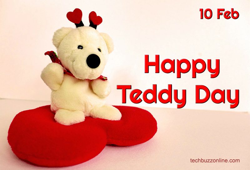 Teddy Day