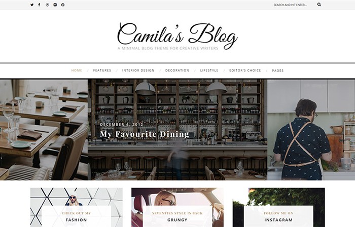 Camila - Minimal Blog WordPress Theme