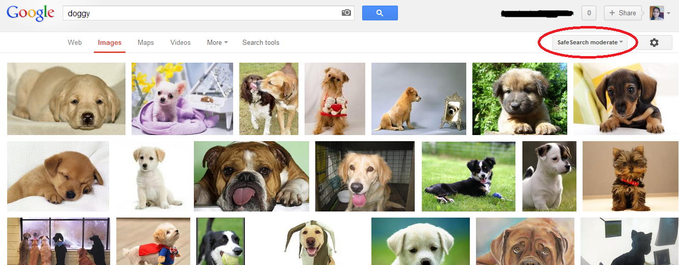 Google image search SafeSearch Moderated