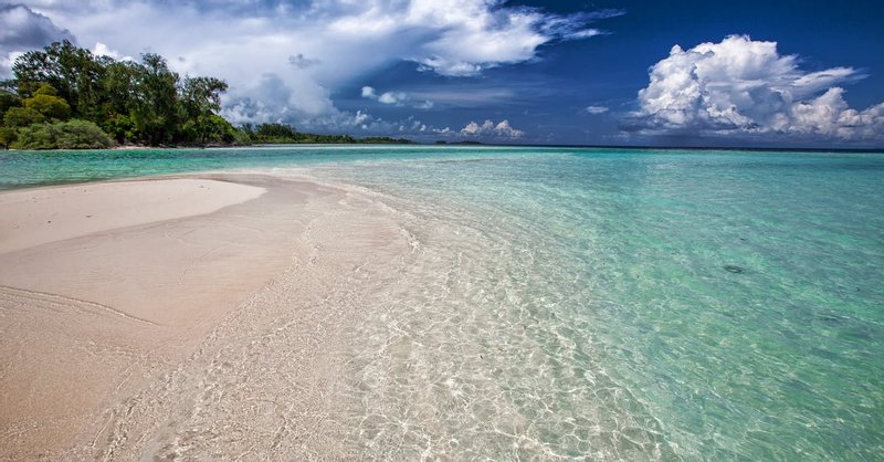 Seashore Near Body of