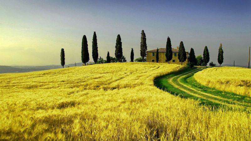 Summer Farm Wheat Tuscany Landscape