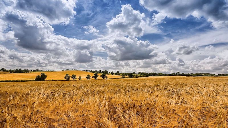 Summer Sky Clouds Fields Landscape Wallpaper