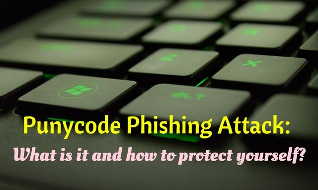 What is Punycode Phishing Attack and how to protect yourself?