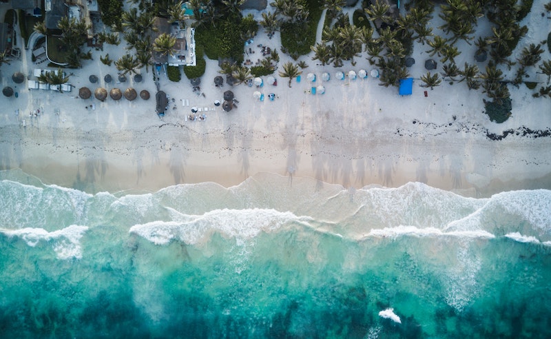 beach shore during daytime