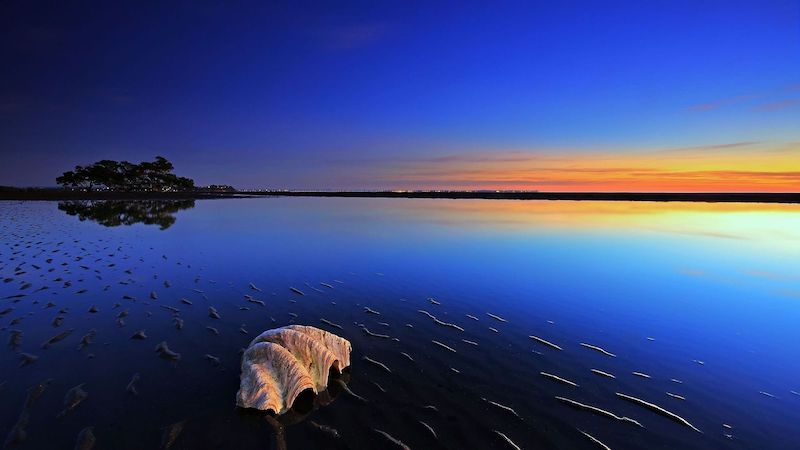 beach summer water sky horizon