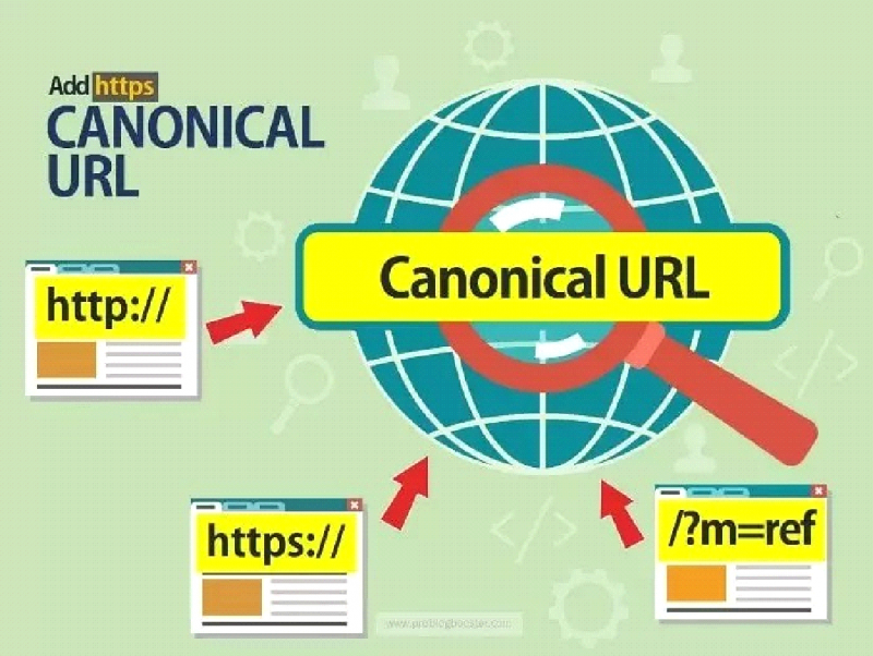 canonical tags