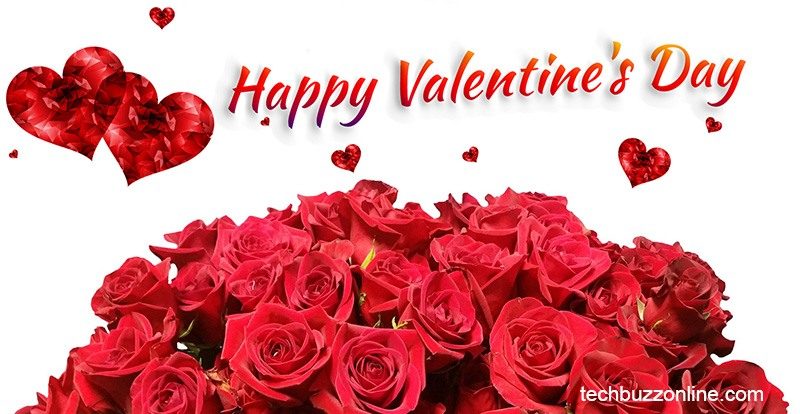 Happy Valentine's Day Greeting Card - 10