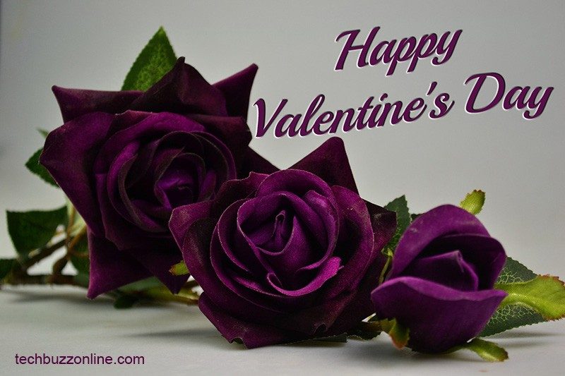 Happy Valentine's Day Greeting Card - 6