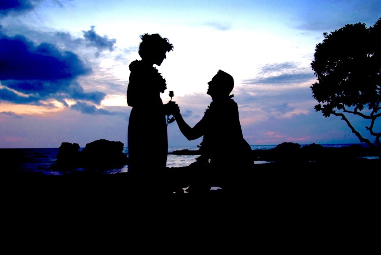 silhoute proposal