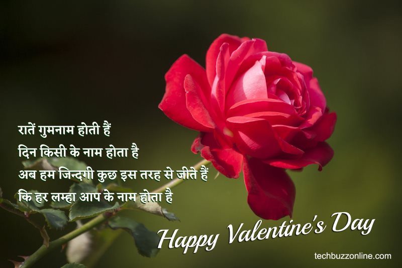 valentine day wishes in hindi 11