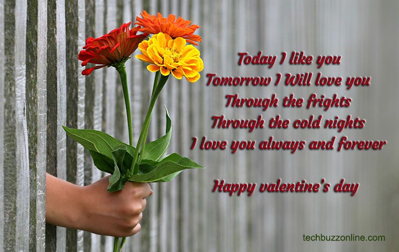 Valentine Wishes 4