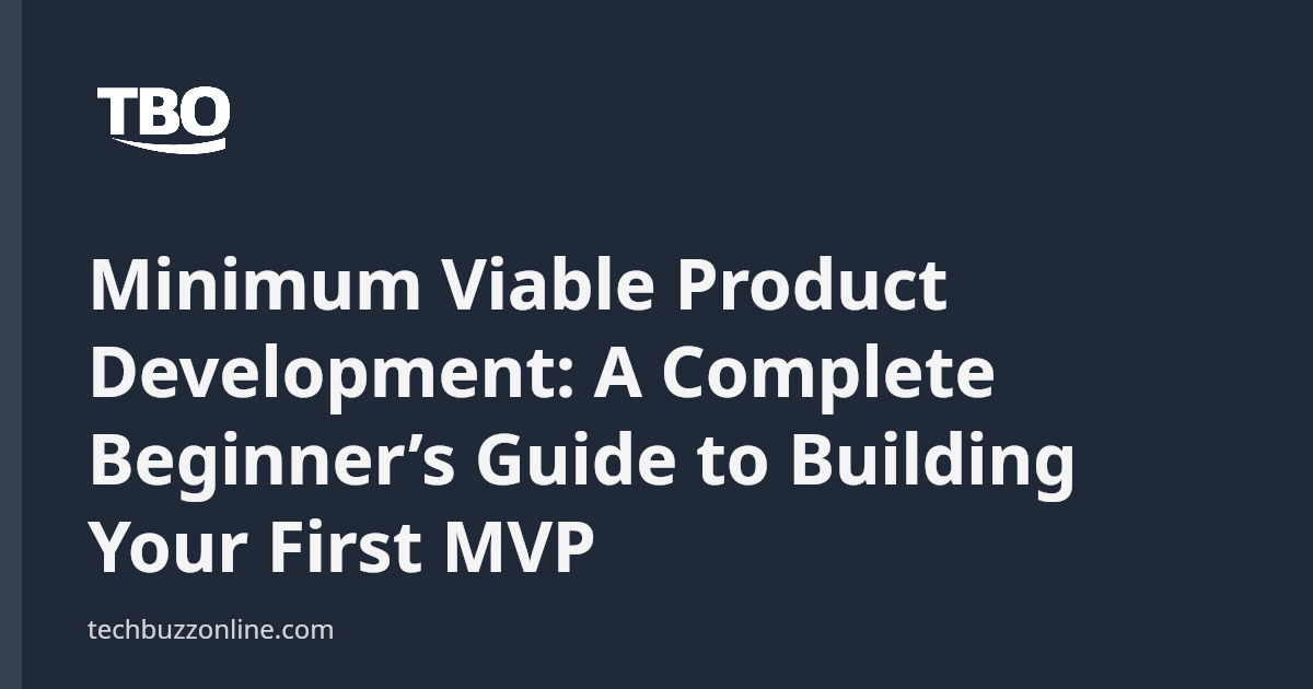 Minimum Viable Product Development: A Complete Beginner’s Guide to ...