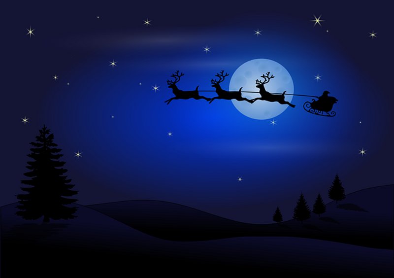Christmas Tree Night Sky Scenery 4K Wallpaper iPhone HD Phone 8040h